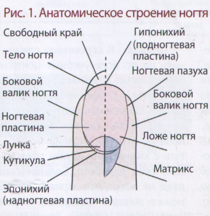 Дворец Искусств г. Нижневартовск Новости Вышивка девочки с котенком по схеме